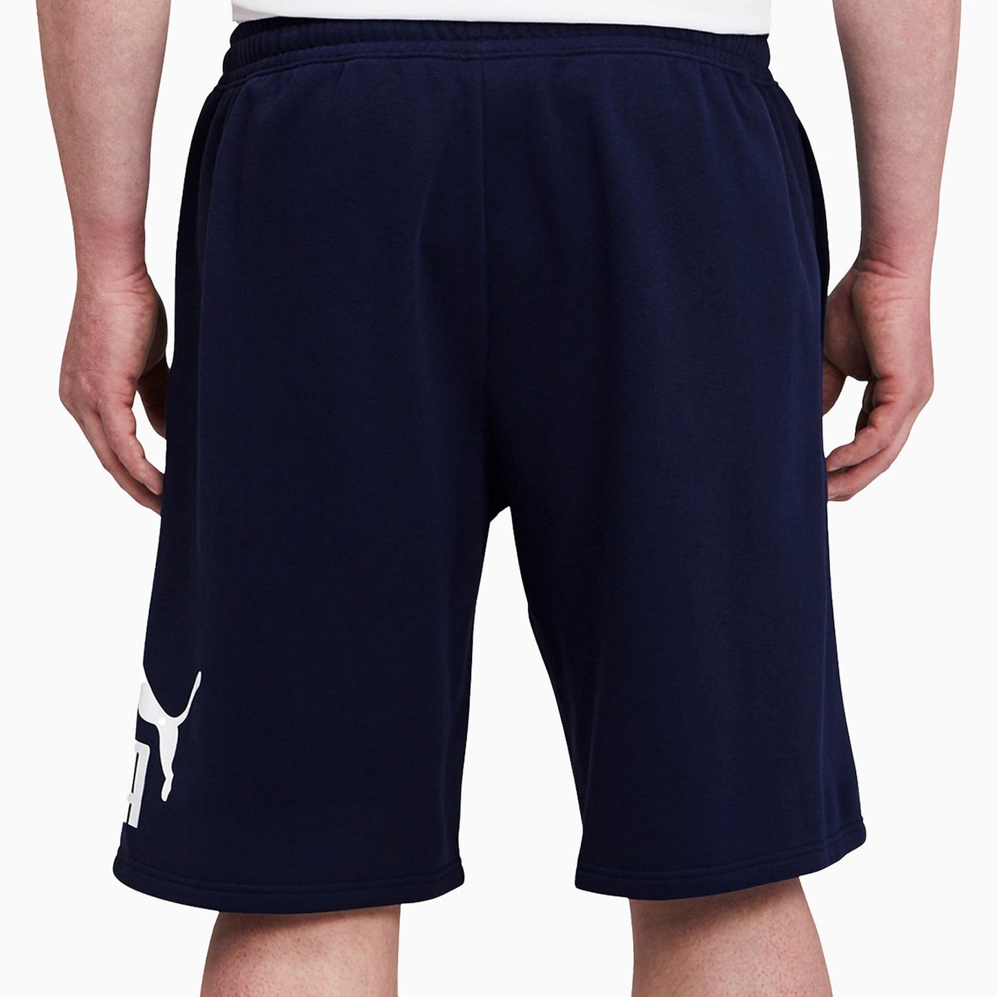 Men's Big Fleece Logo Shorts