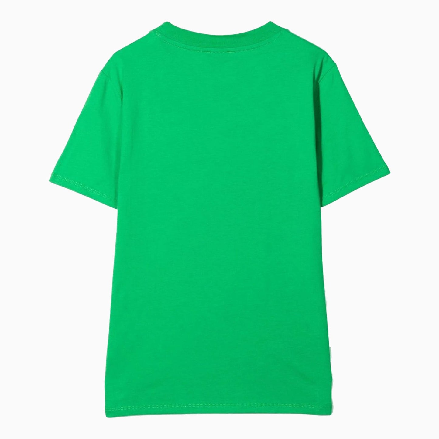 Kid's Tiger Short Sleeves T Shirt