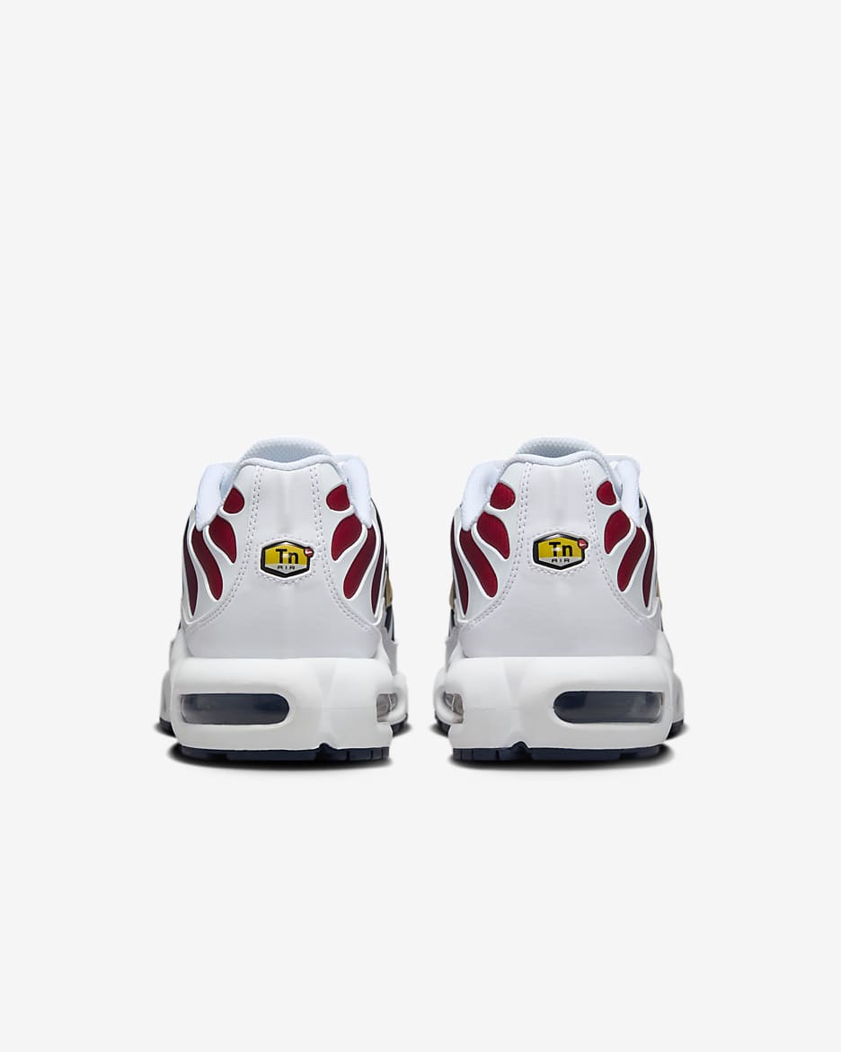 NIKE AIR MAX PLUS PSG