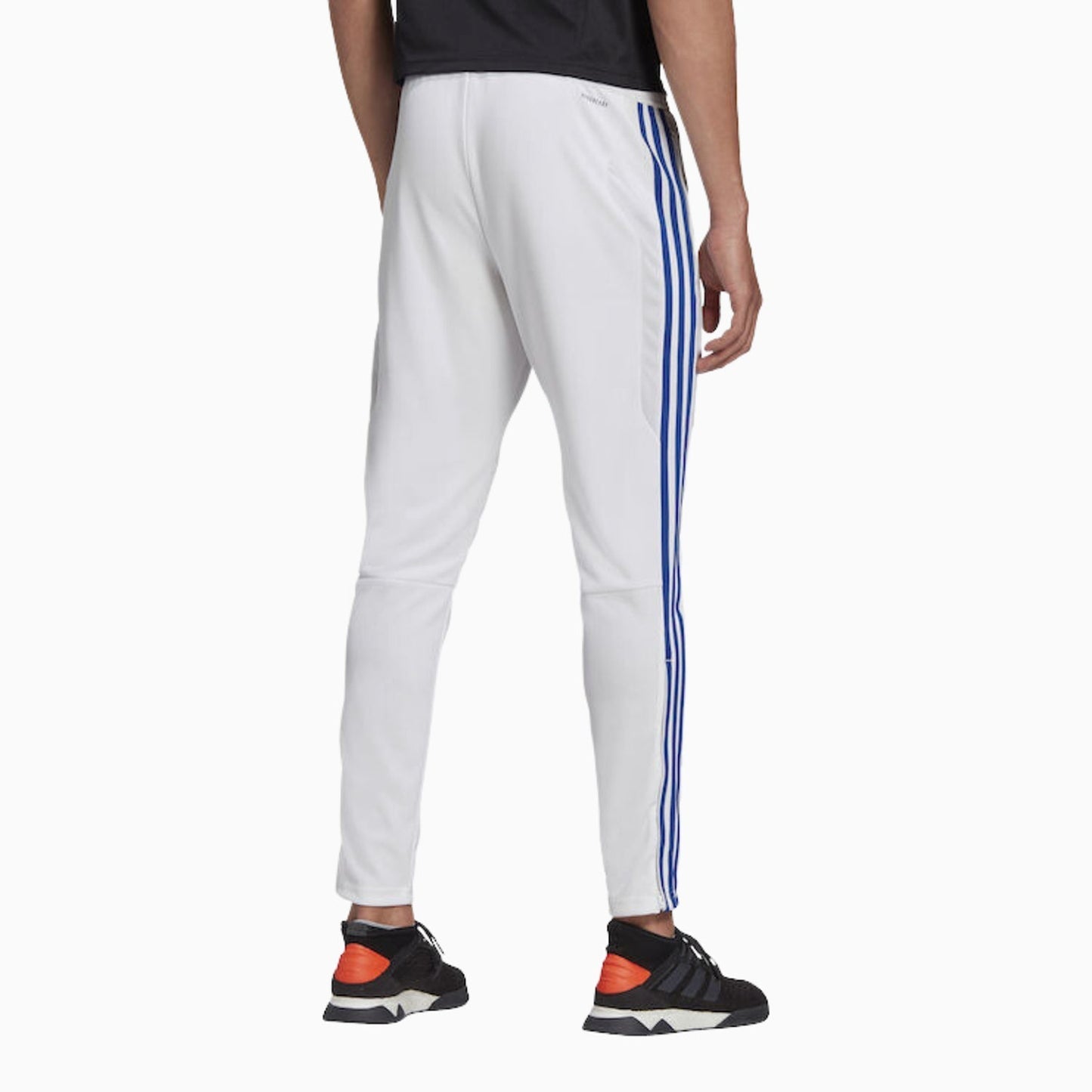 Men's Tiro 19 Training Track Pant