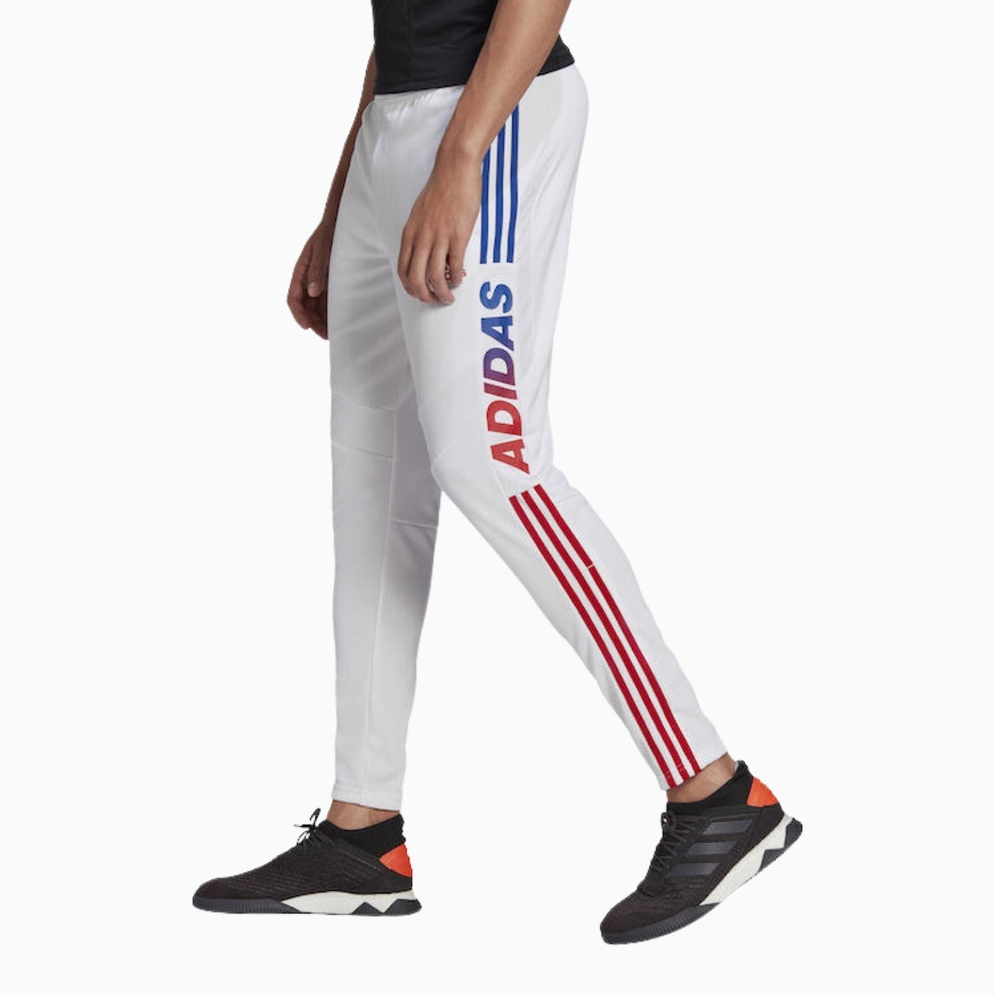 Men's Tiro 19 Training Track Pant