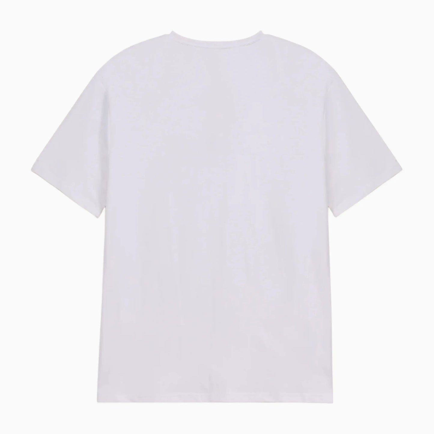 Men's Classic Regular Fit Pack of 2 T-Shirts