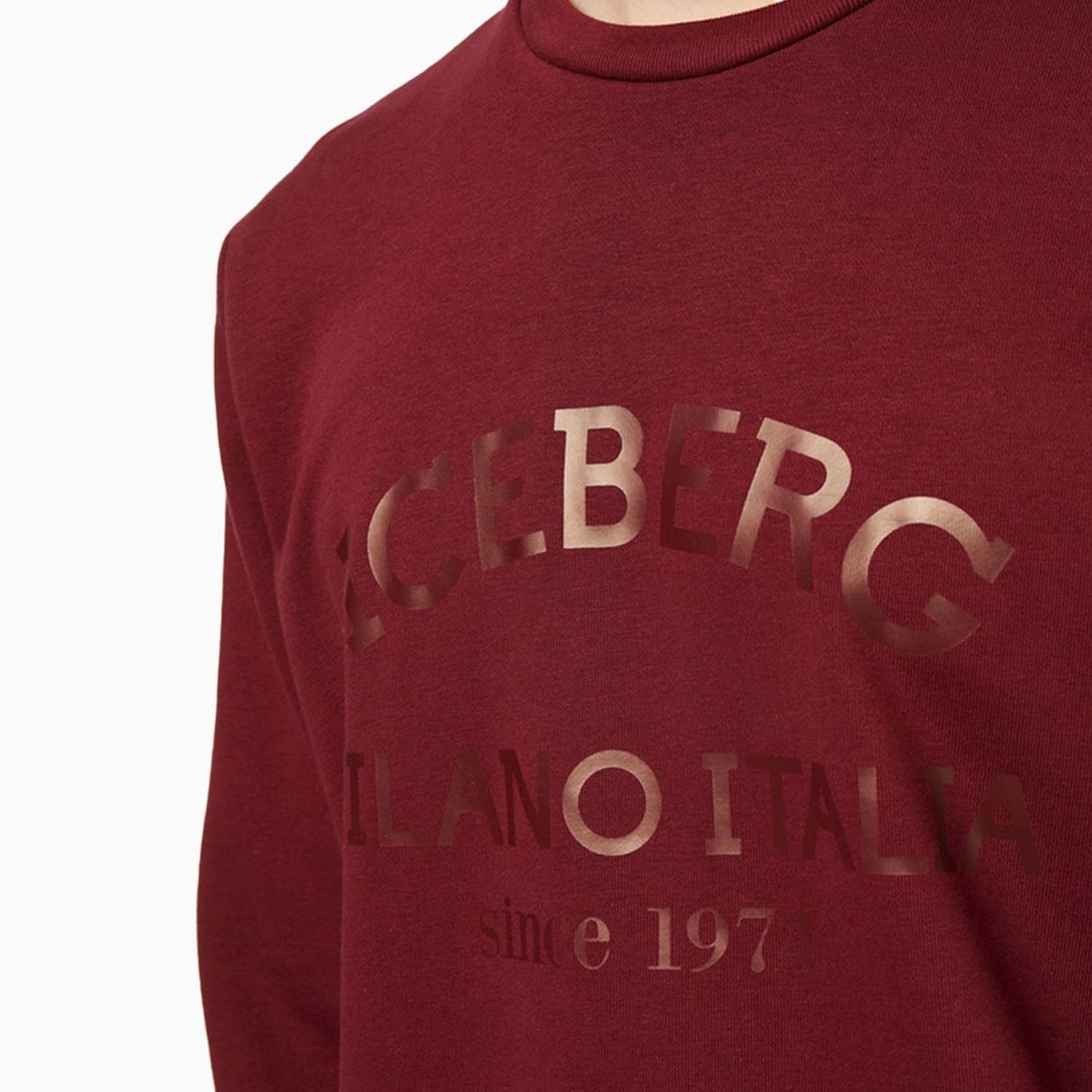 Men's Crew Neck Sweatshirt With Institutional Logo