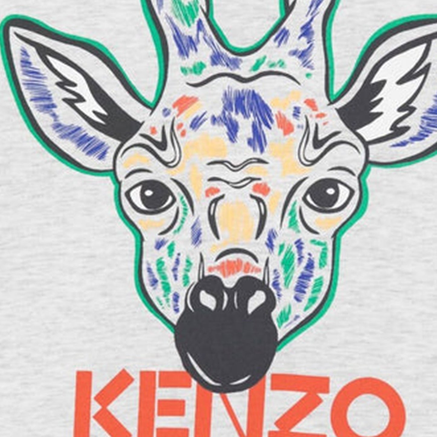 Kid's Jiraffe Short Sleeve T Shirt