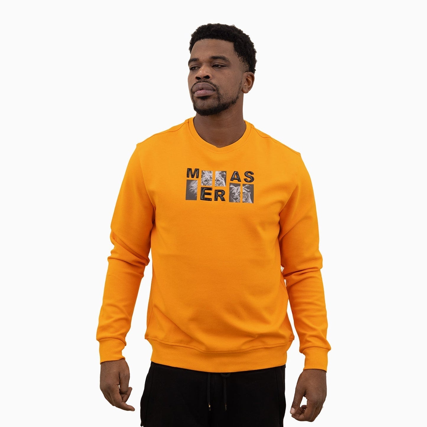 Men's Lion Graphic Crew Neck Sweatshirt