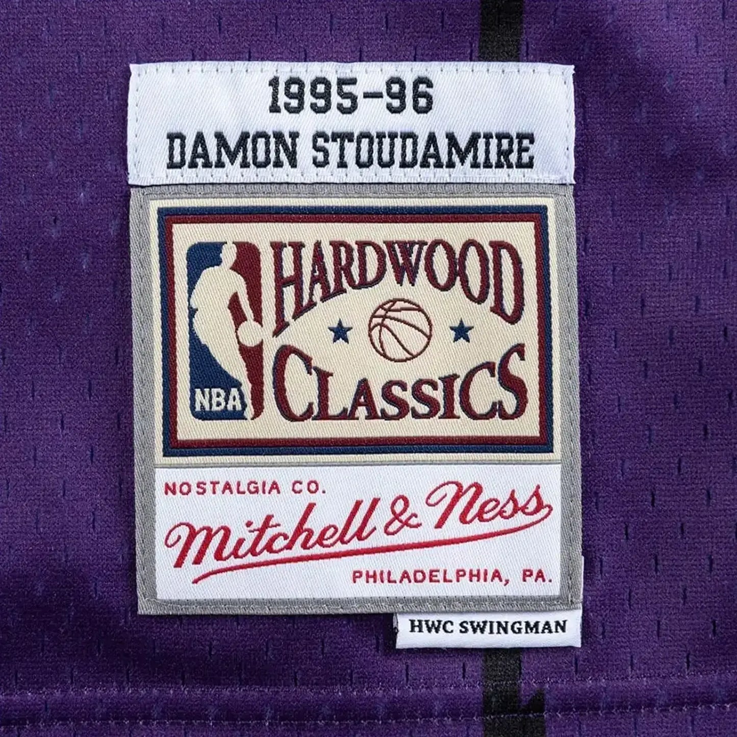 Swingman Damon Stoudamire Toronto Raptors 1995-96 NBA Jersey