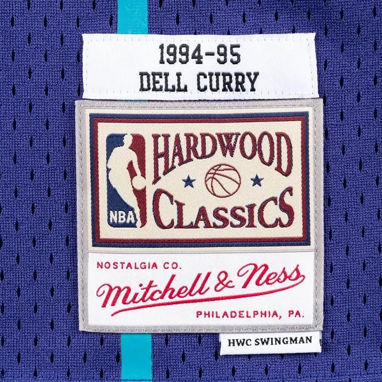 Swingman Dell Curry Alternate Charlotte Hornets NBA 1994-95 Jersey