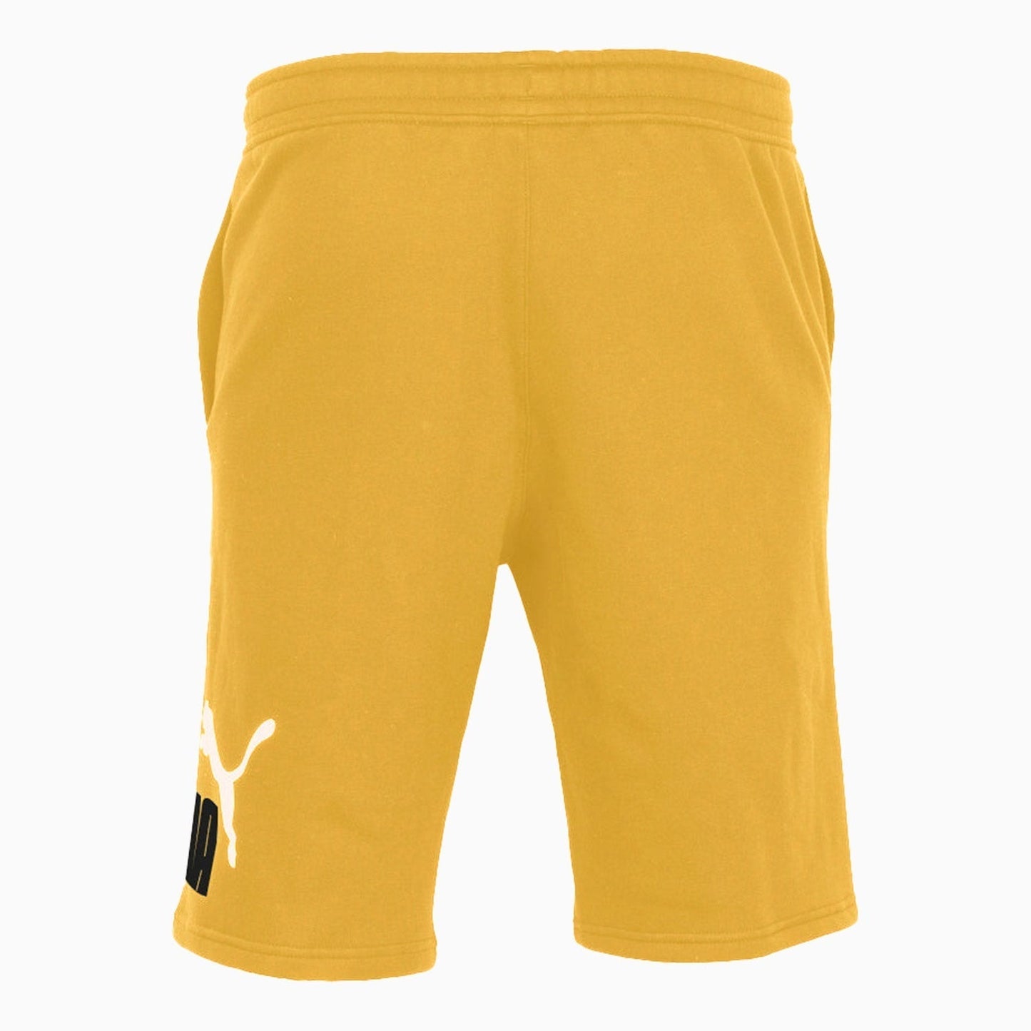 Men's Big Fleece Logo Shorts