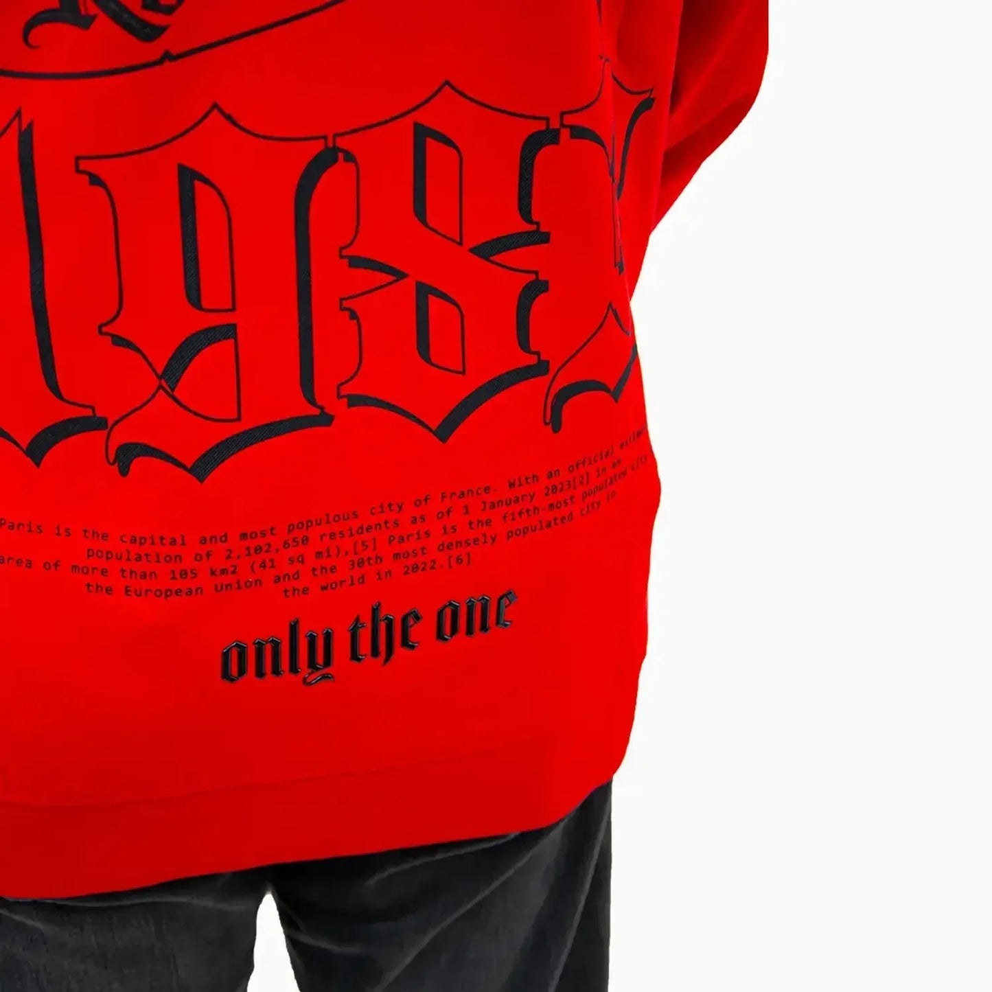 Men's Paris Pull Over Hoodie