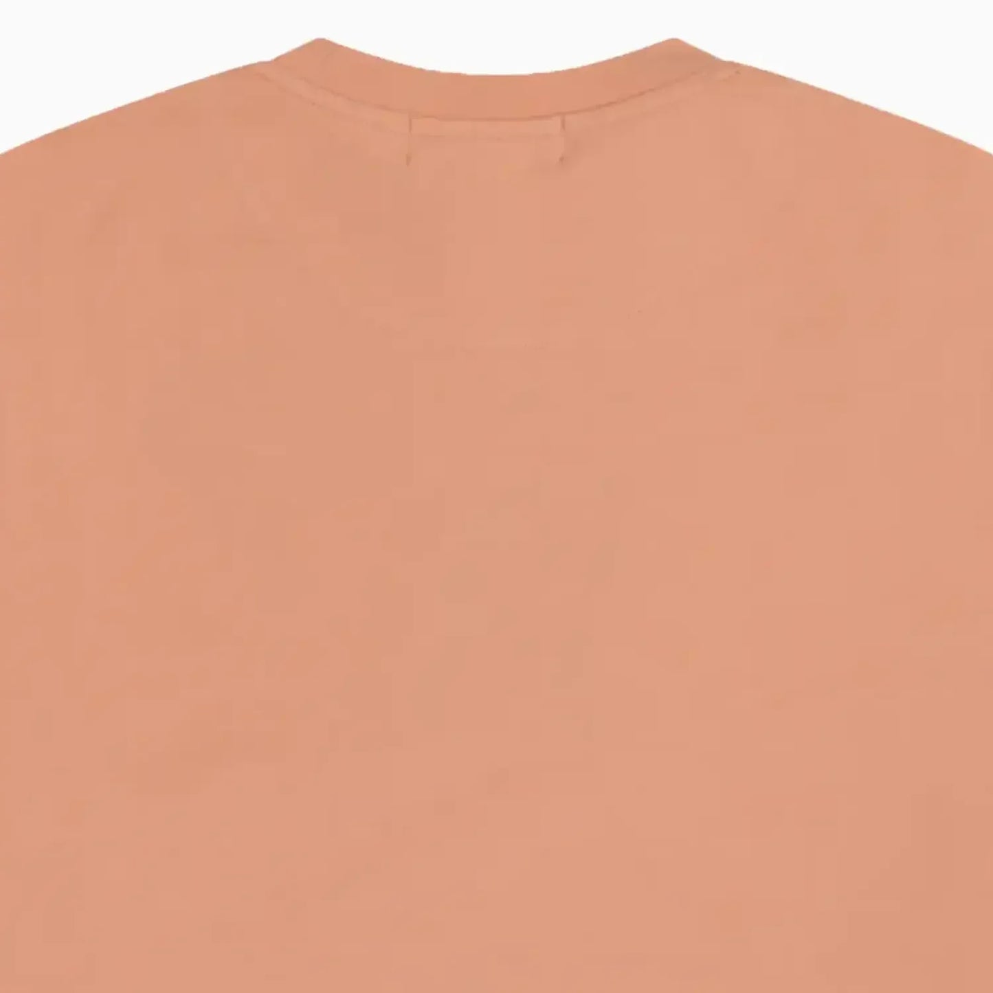 Men's RV Front Brush Crew Neck T-Shirt