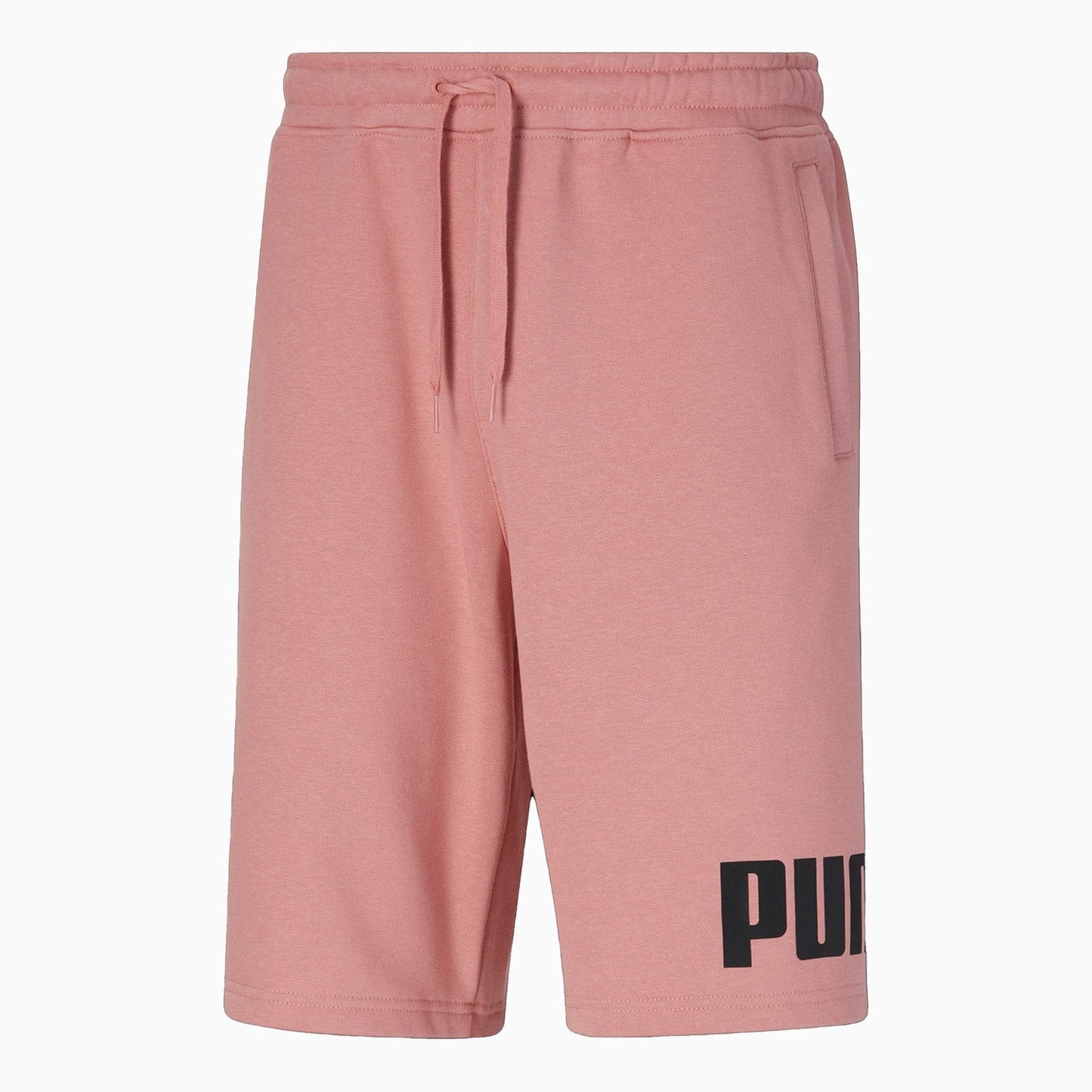 Men's Big Fleece Logo 10" Shorts