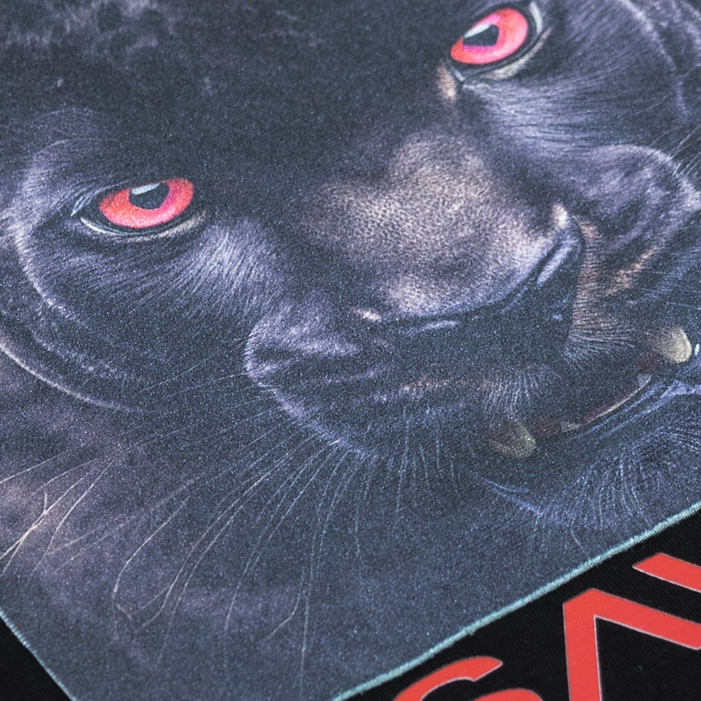 Men's Black Panther Graphic Short Sleeve T-Shirt