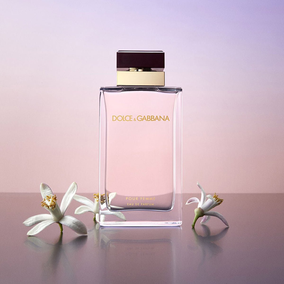 Women's Dolce & Gabbana Pour Femme EDP Spray 3.3 Oz