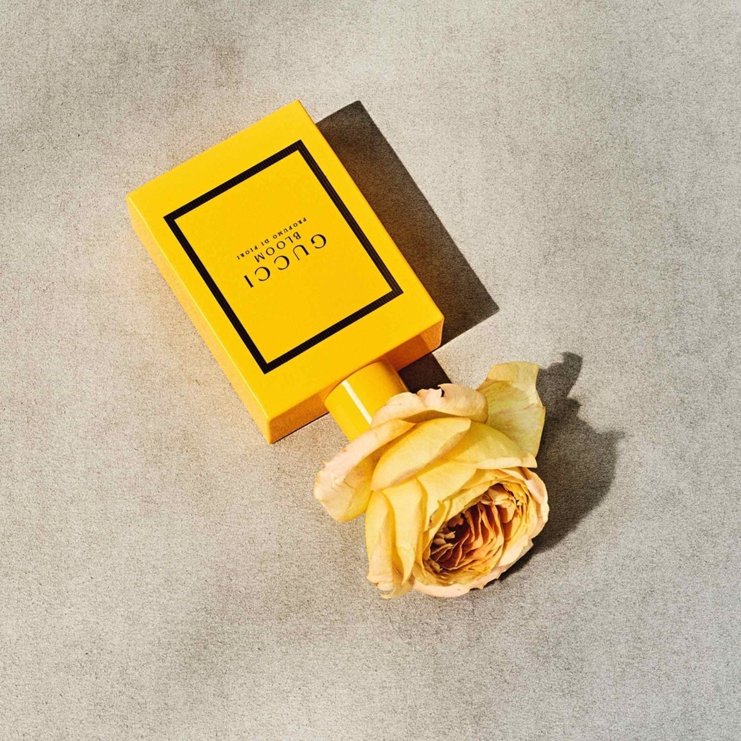 Women's Gucci Bloom Di Flori 3.4Oz