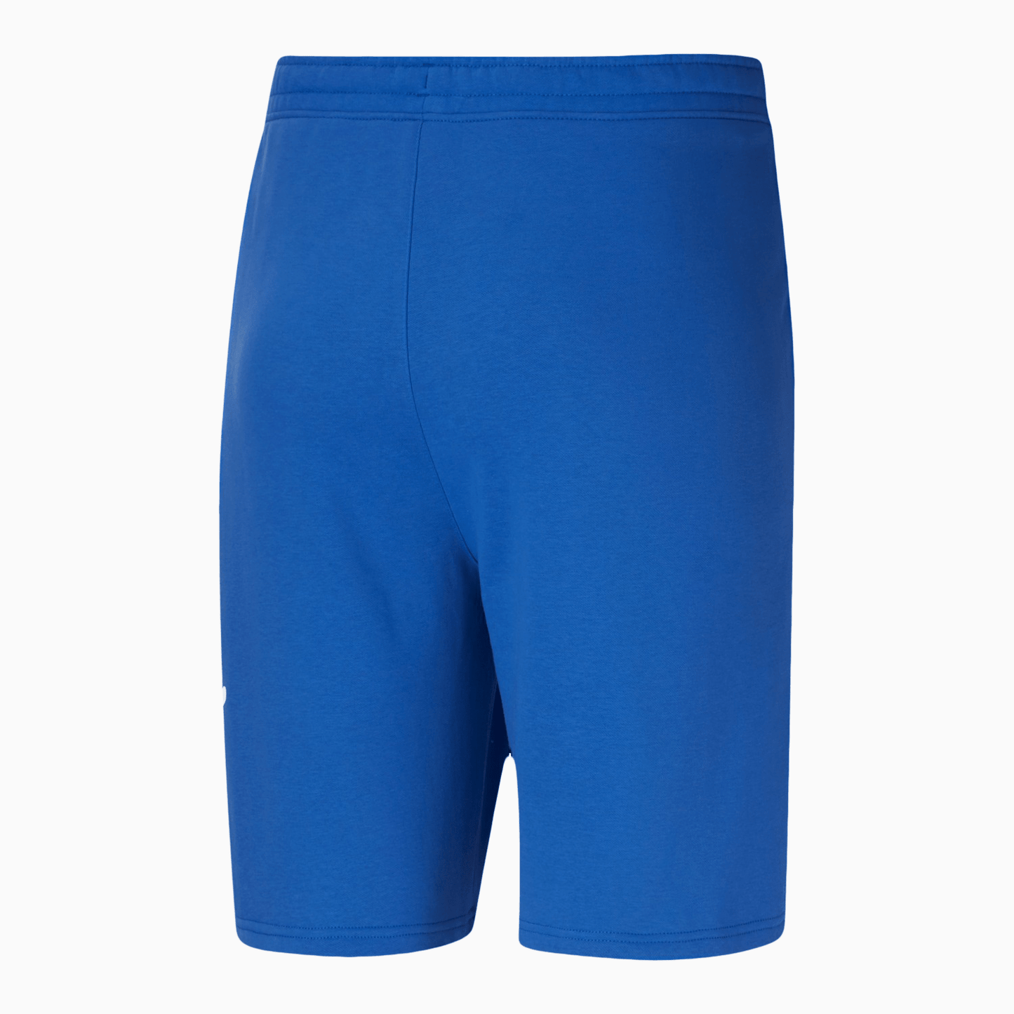 Men's Big Fleece Logo Shorts