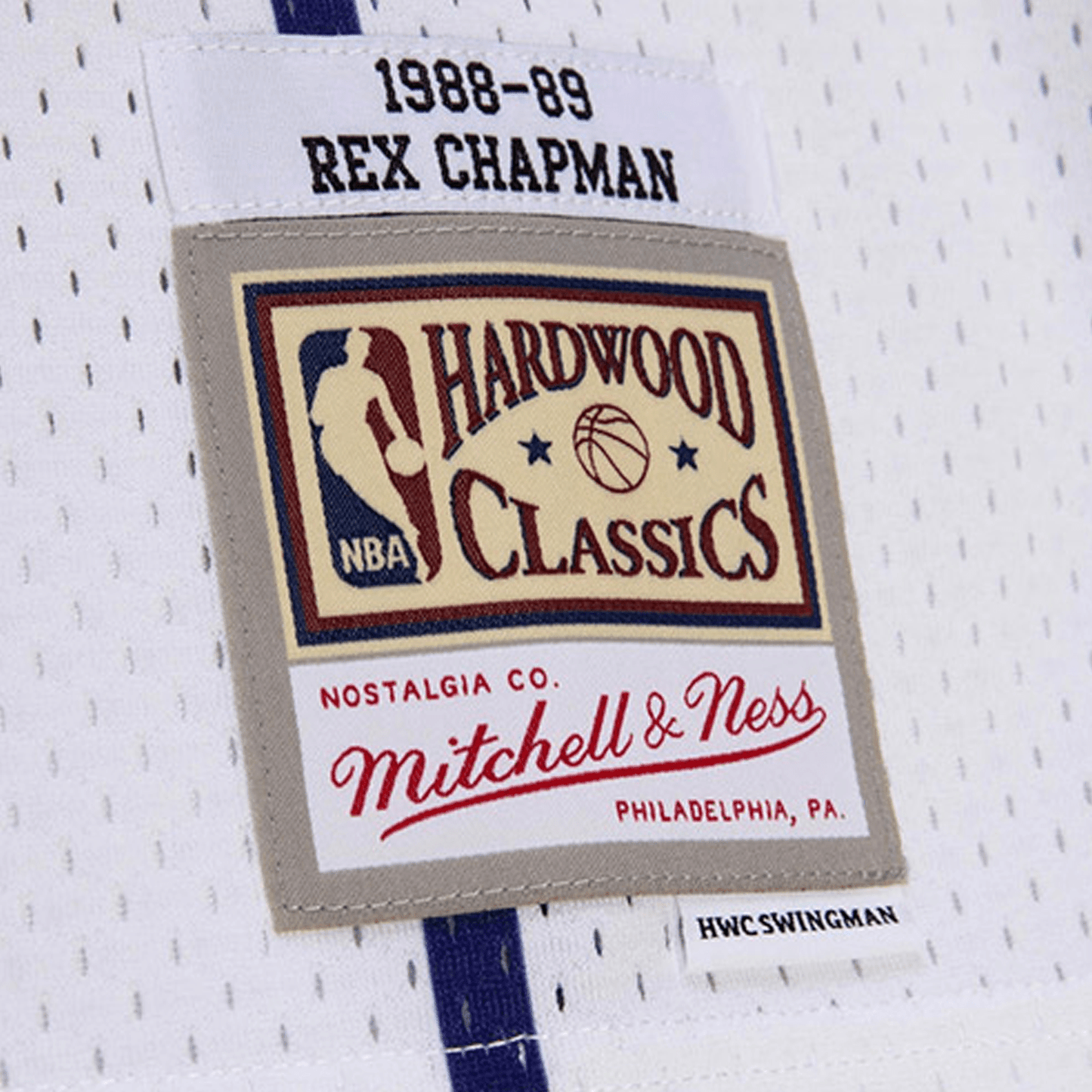 Swingman Rex Chapman Charlotte Hornets NBA 1988-89 Jersey Youth