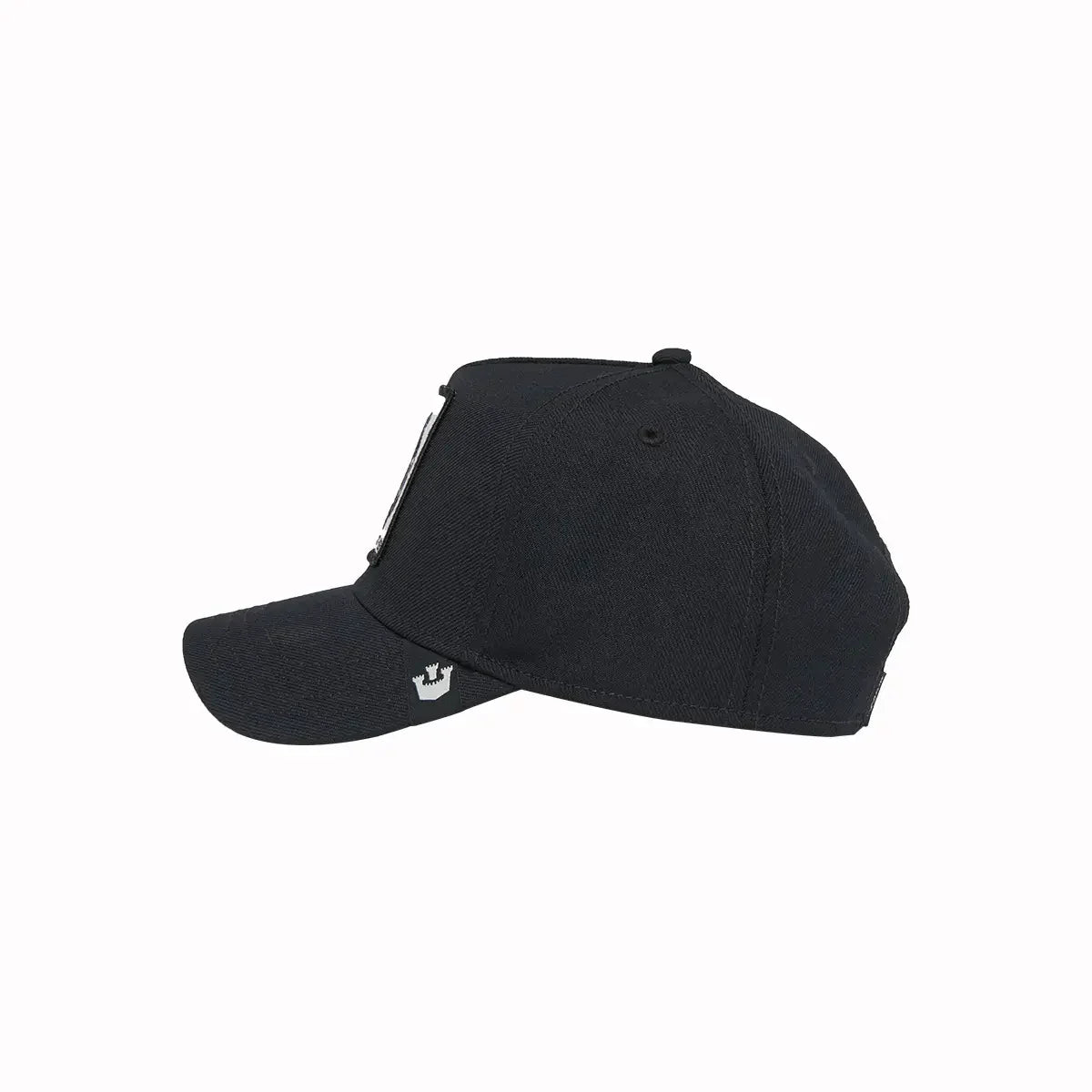 The Panther Field 100 Snapback Hat