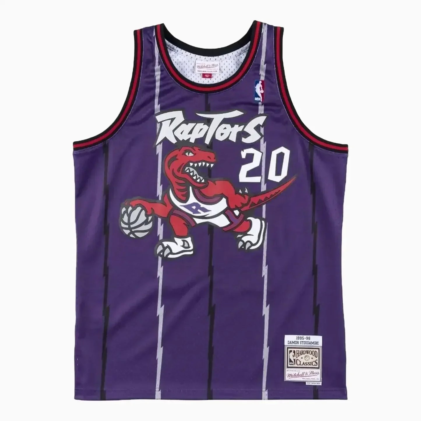 Swingman Damon Stoudamire Toronto Raptors 1995-96 NBA Jersey