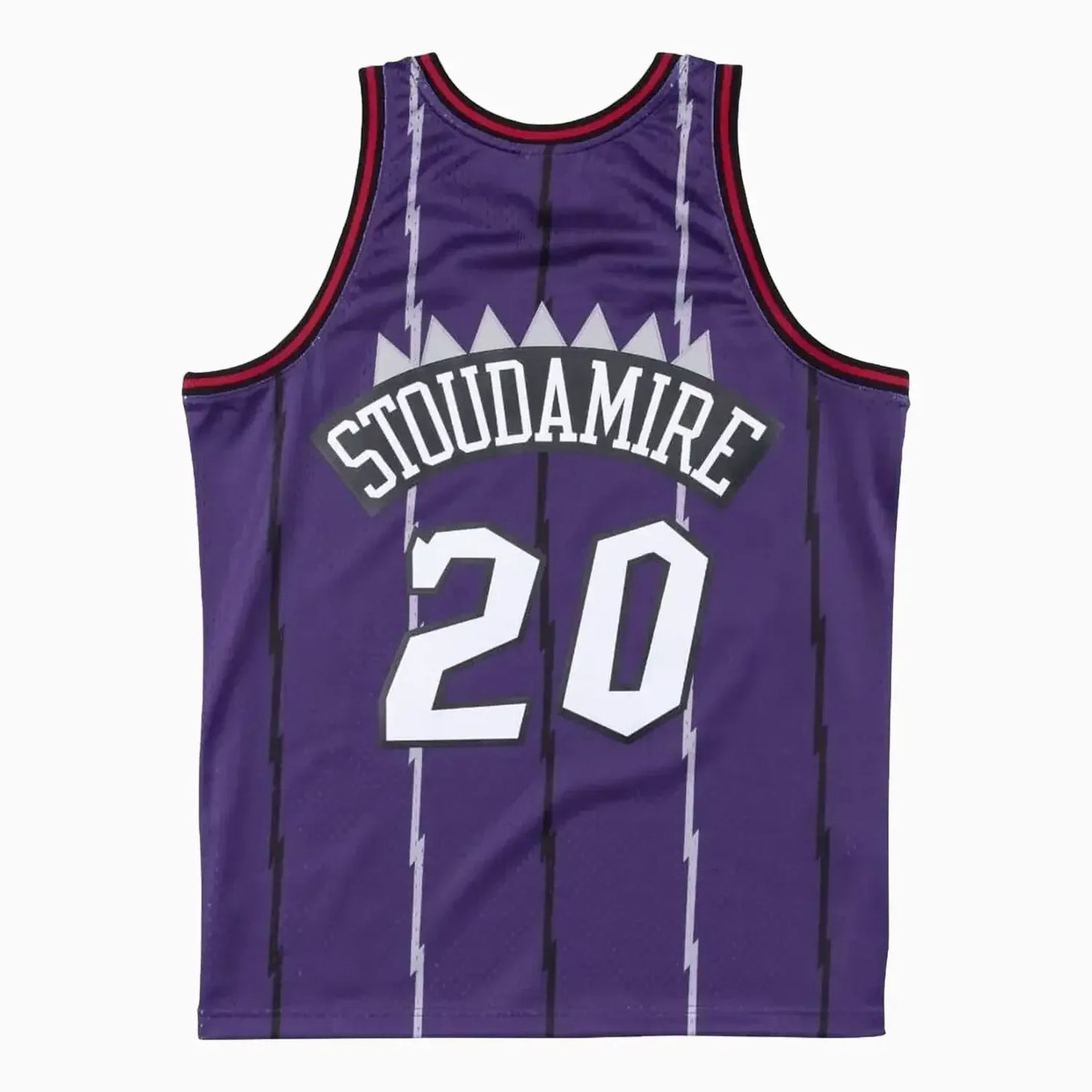Swingman Damon Stoudamire Toronto Raptors 1995-96 NBA Jersey