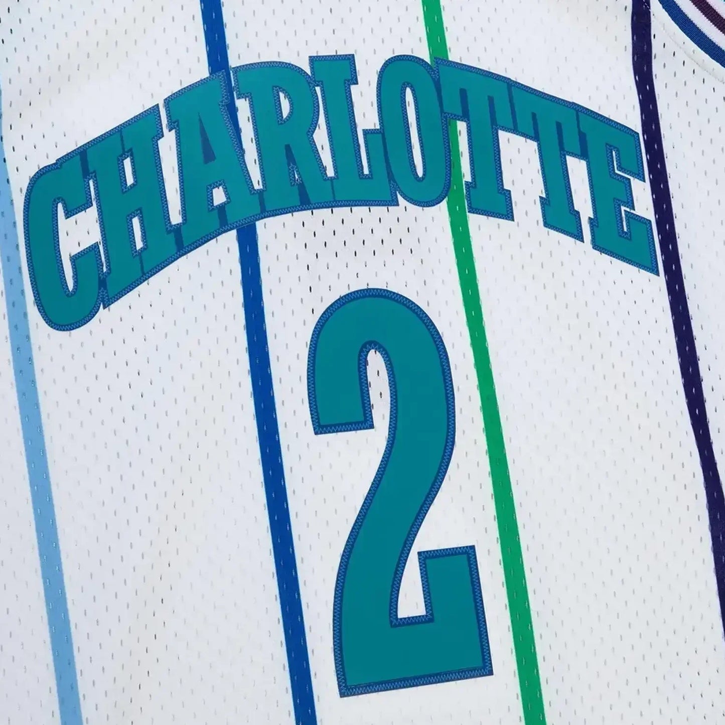 Swingman Larry Johnson Charlotte Hornets NBA 1992 Jersey