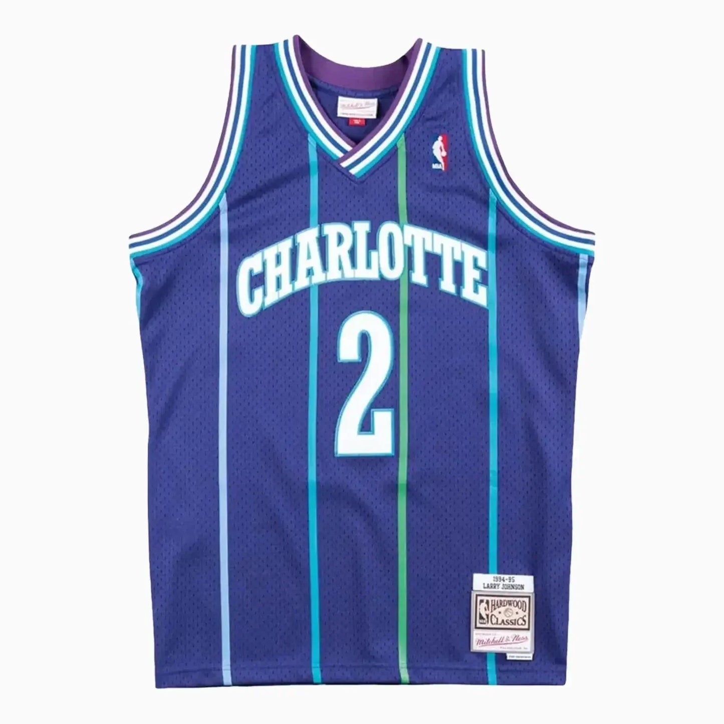 Swingman Larry Johnson Charlotte Hornets NBA 1994-95 Jersey
