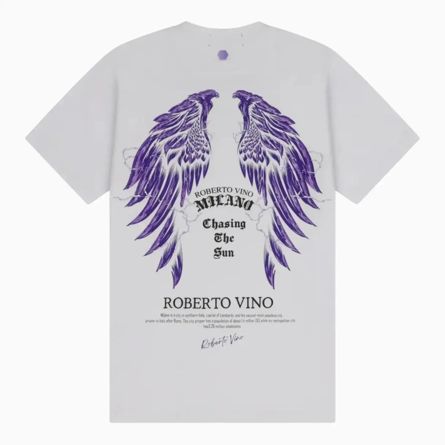 Men's Chasing The Sun T-Shirt