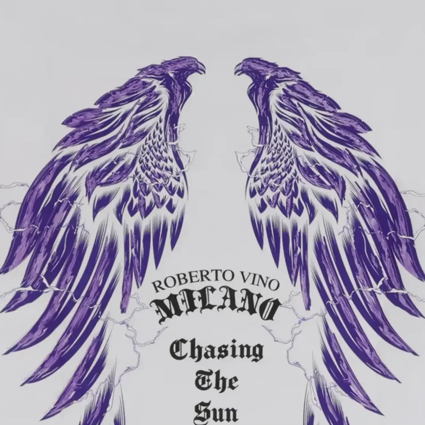 Men's Chasing The Sun T-Shirt