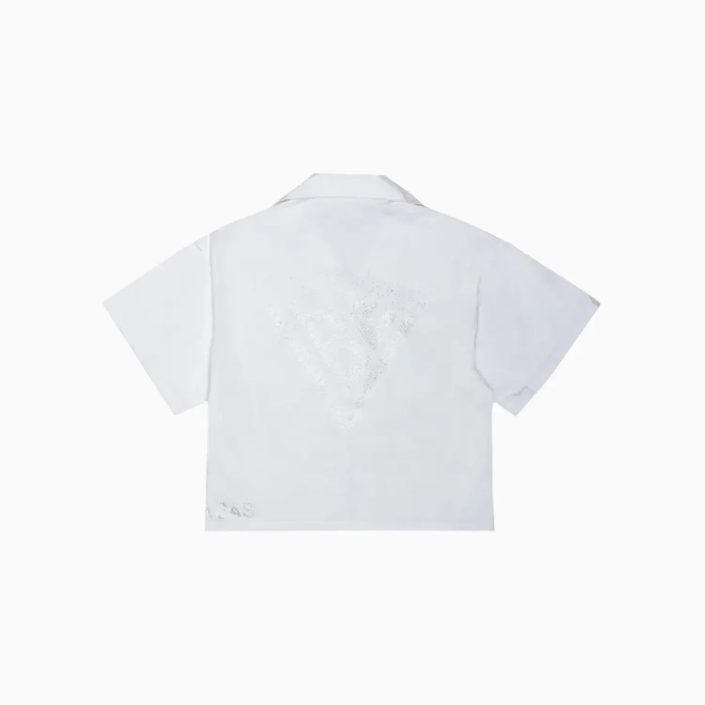 Men's SHINE Button Down Shirt