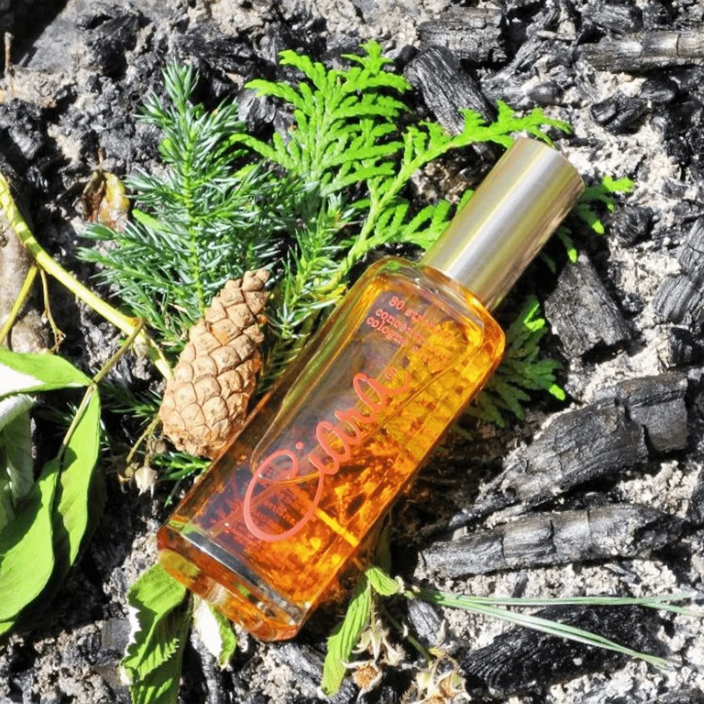 Women's Revlon Ciara 80 Strength 2.3 EDT Oz